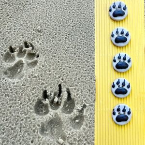 Paw Print Craft Buttons Handcrafted from South Africa